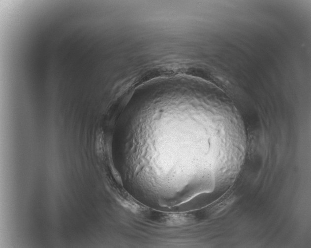 X0000058130623200509301954