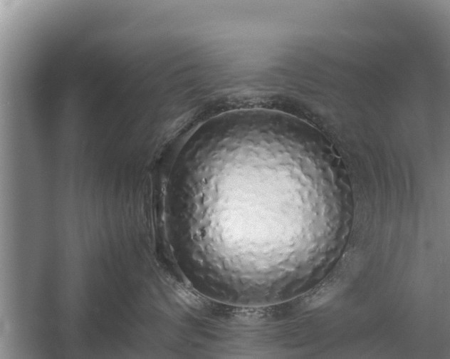 X0000058130624200509301954