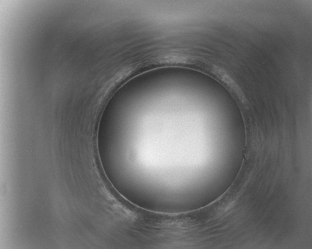 X0000058130625200509301953