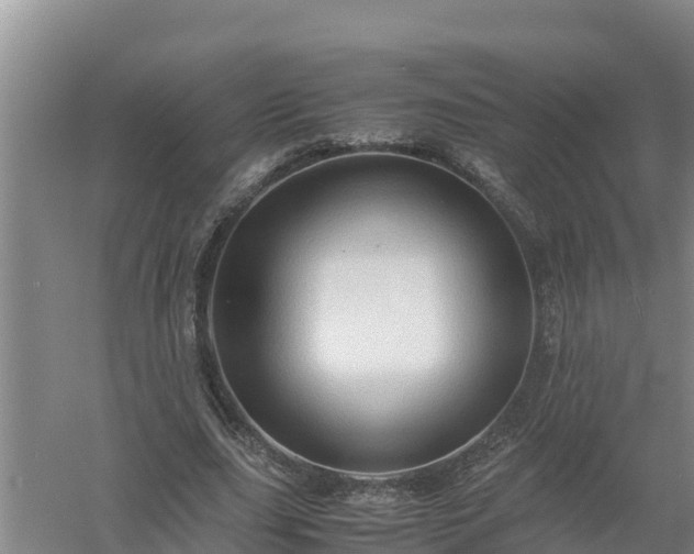 X0000058130631200509301953