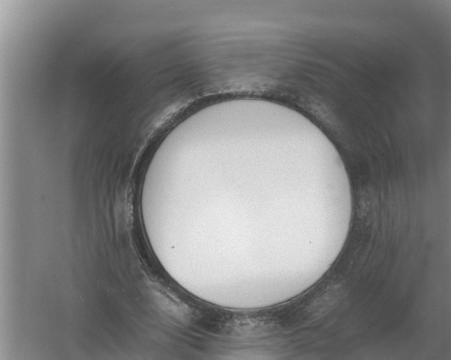 X0000058130632200509301953