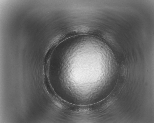 X0000058130638200509301954