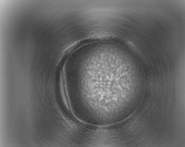 X0000058130640200509301954