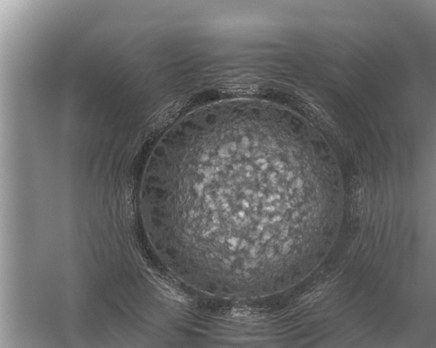 X0000058130641200509301954