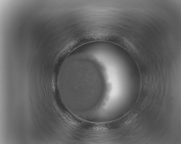 X0000058130644200509301954