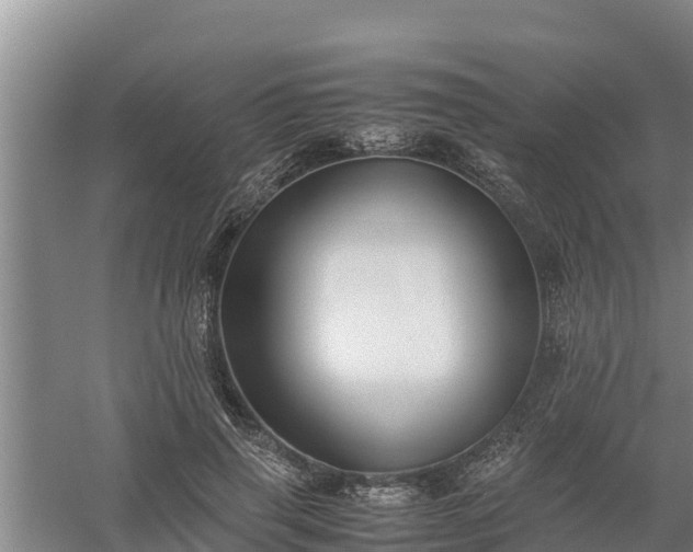 X0000058130645200509301954