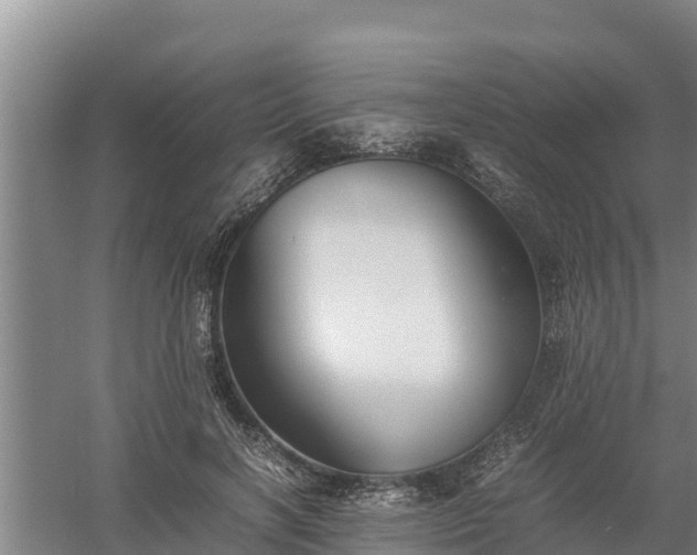 X0000058130646200509301954