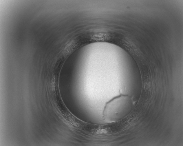 X0000058130647200509301954