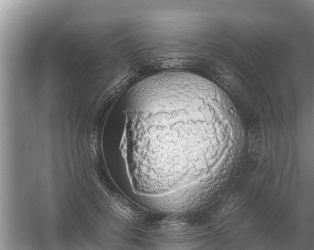 X0000058130648200509301954