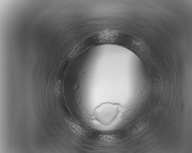 X0000058130649200509301954