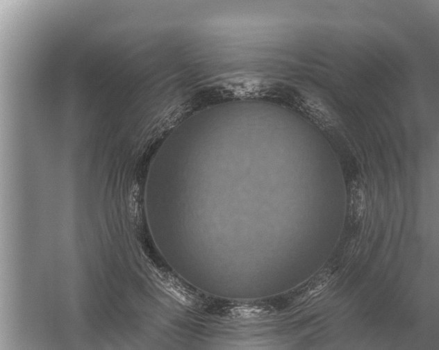 X0000058130650200509301954