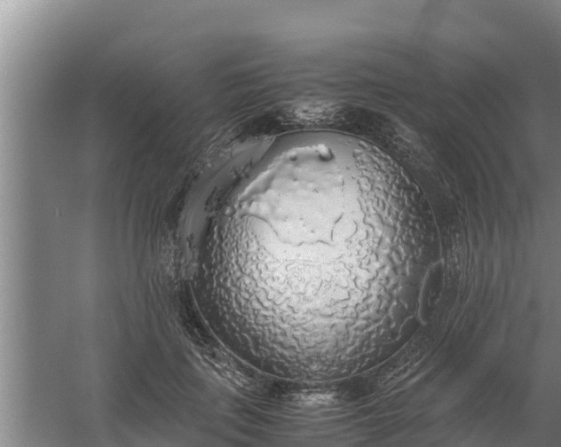 X0000058130651200509301954