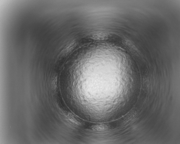 X0000058130652200509301954