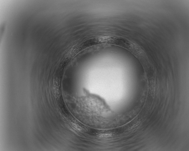 X0000058130653200509301954