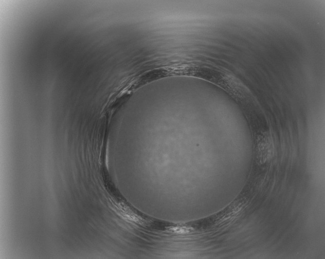 X0000058130654200509301954