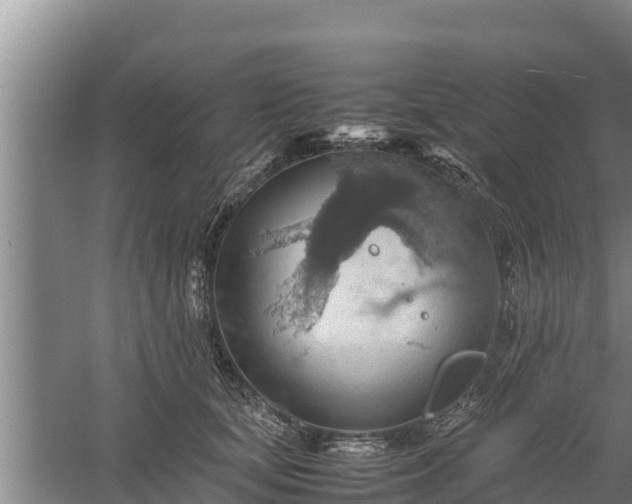 X0000058130659200509301954