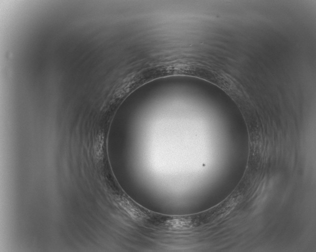 X0000058130660200509301954