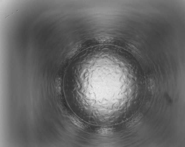 X0000058130664200509301954