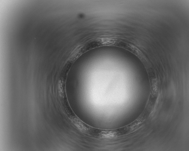 X0000058130667200509301954