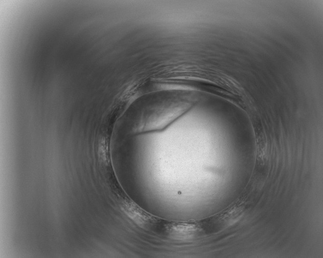 X0000058130669200509301954