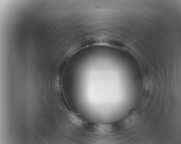 X0000058130670200509301954