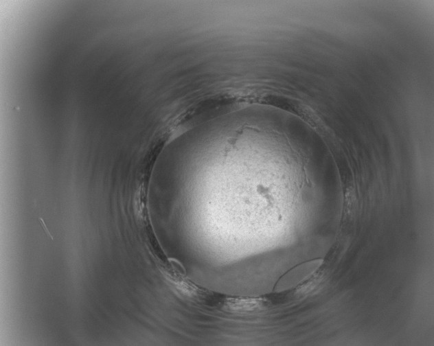 X0000058130671200509301954