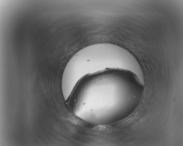 X0000058130672200509301954