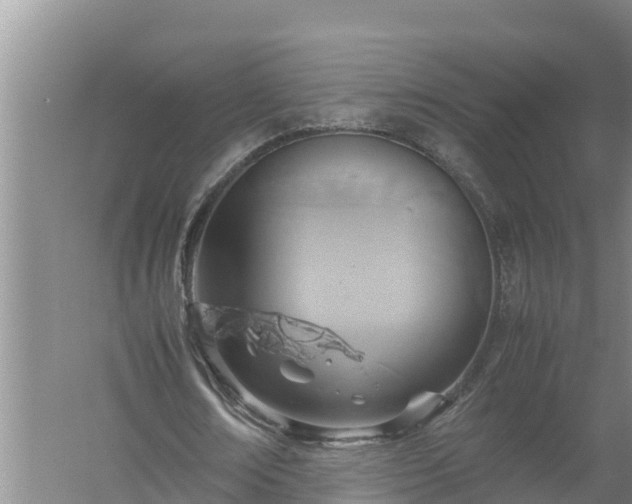 X0000058130674200509301953