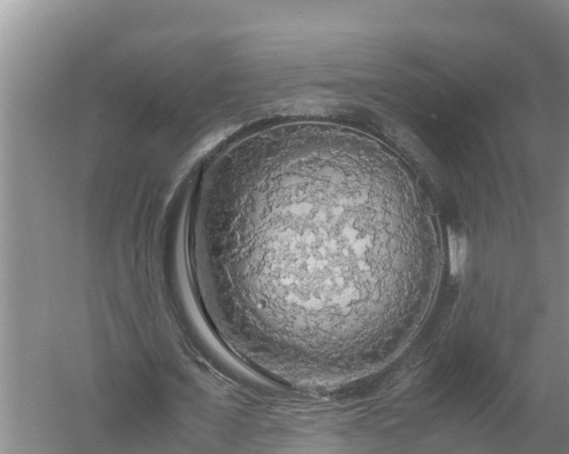 X0000058130675200509301953