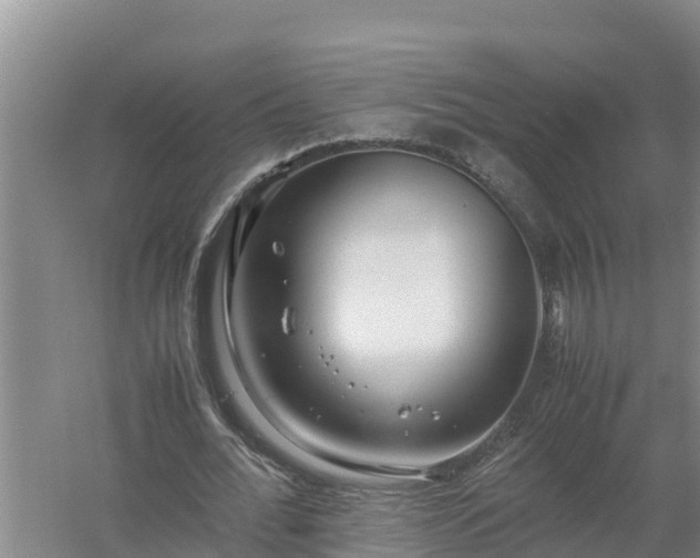 X0000058130676200509301953