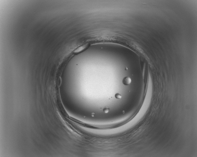 X0000058130677200509301953