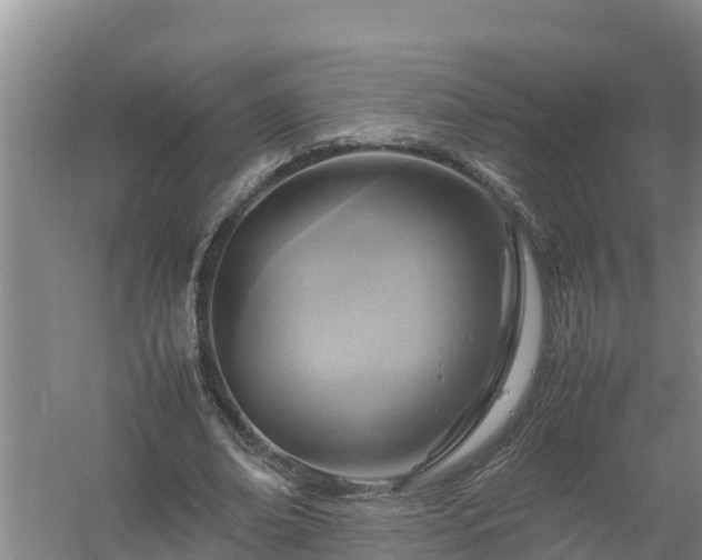 X0000058130678200509301953