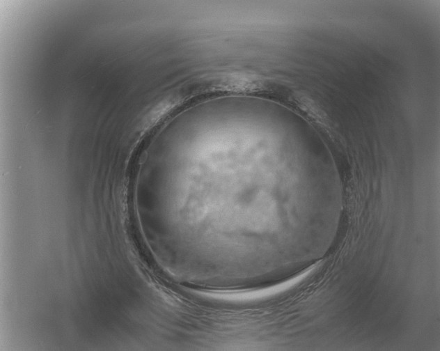 X0000058130679200509301953