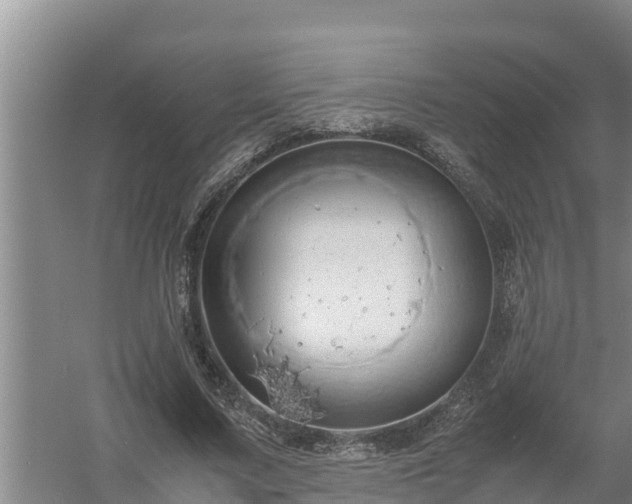 X0000058130683200509301953