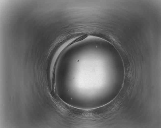 X0000058130685200509301953