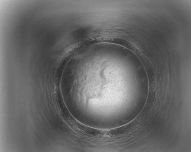 X0000058130687200509301953