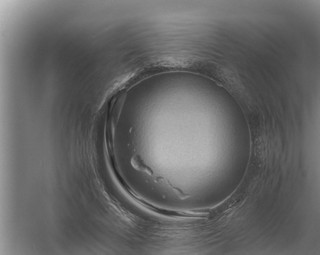 X0000058130688200509301953