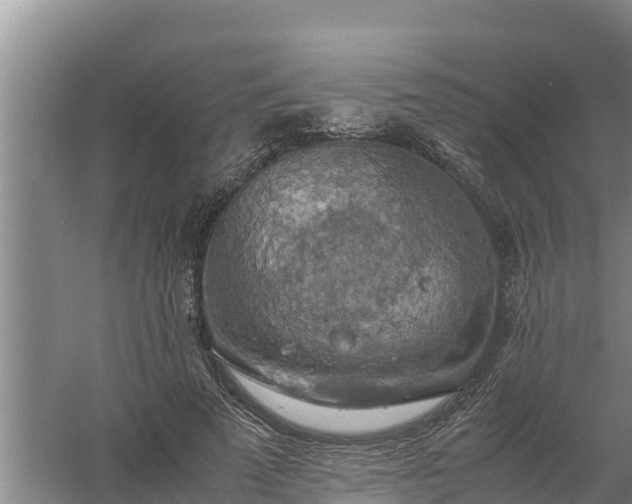 X0000058130689200509301953