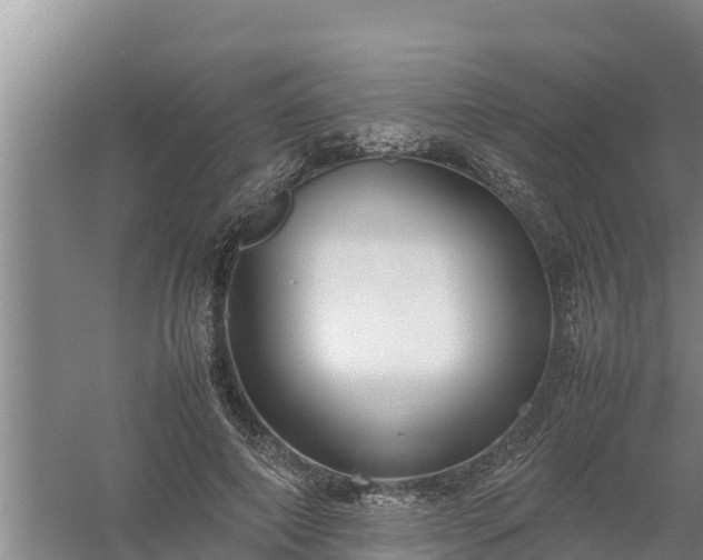 X0000058130690200509301953