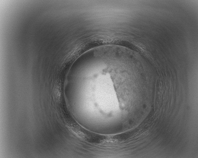 X0000058130691200509301953