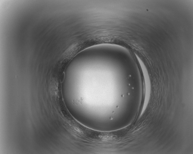 X0000058130693200509301953