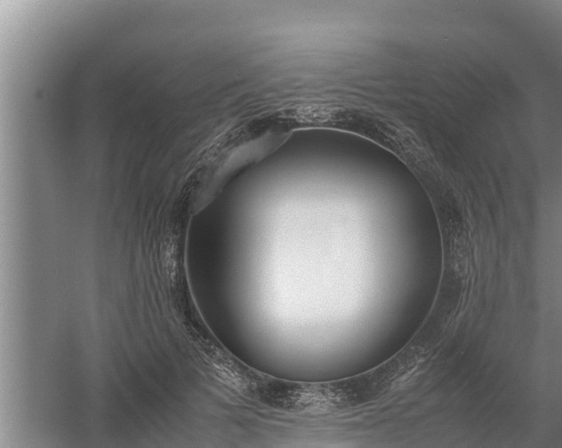 X0000058130697200509301953