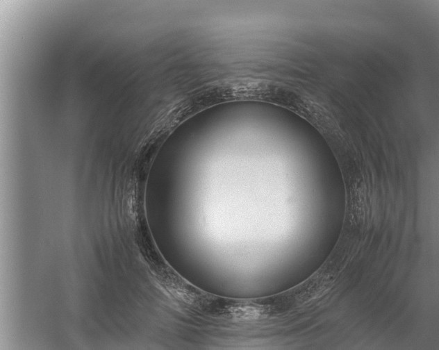 X0000058130698200509301953