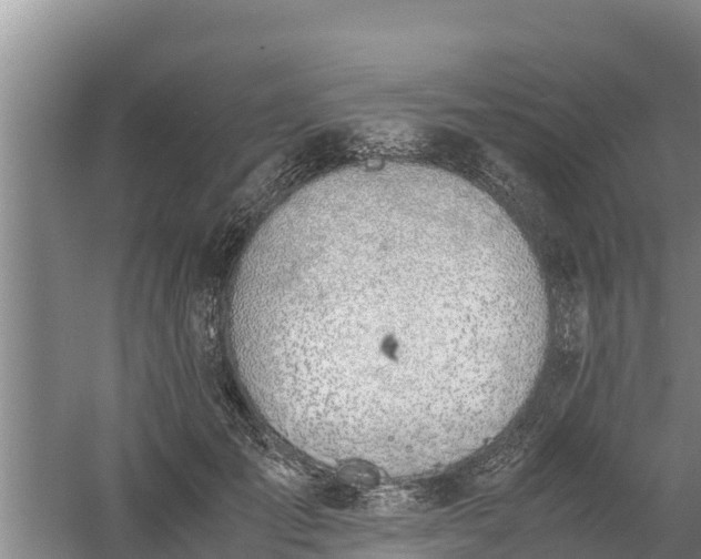 X0000058130701200509301953