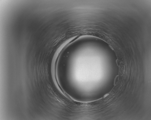 X0000058130704200509301953