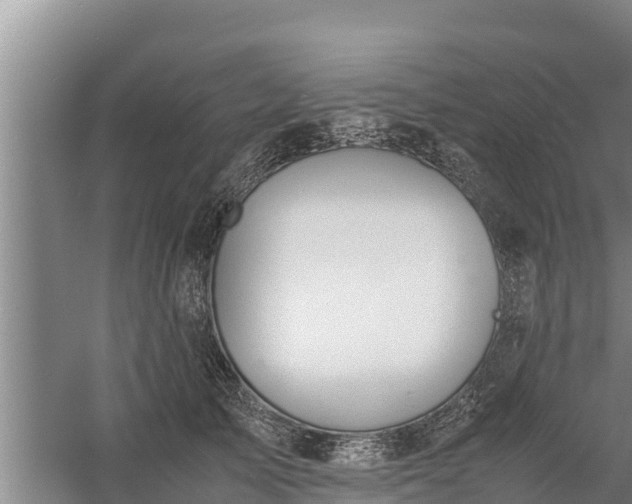 X0000058130705200509301953