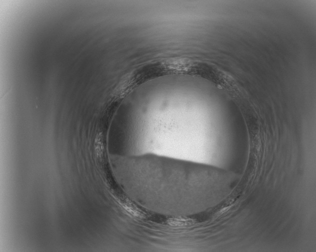 X0000058130707200509301953