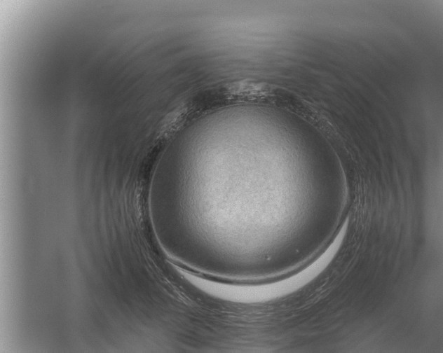 X0000058130708200509301953