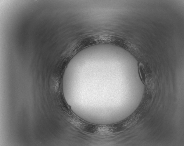 X0000058130709200509301953