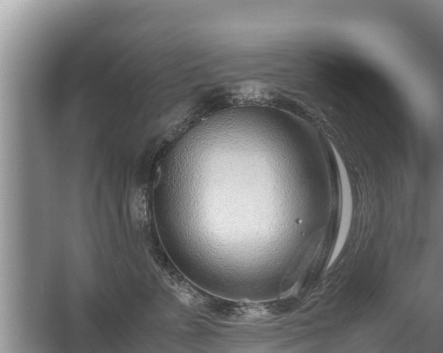 X0000058130715200509301953